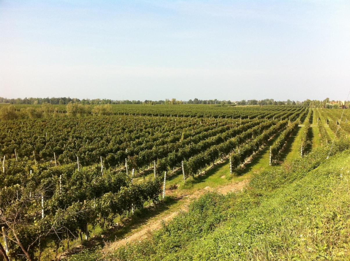 Cascina Tabachera X10 Country House Sirmione Garda Lake Pozzolengo Ruang foto